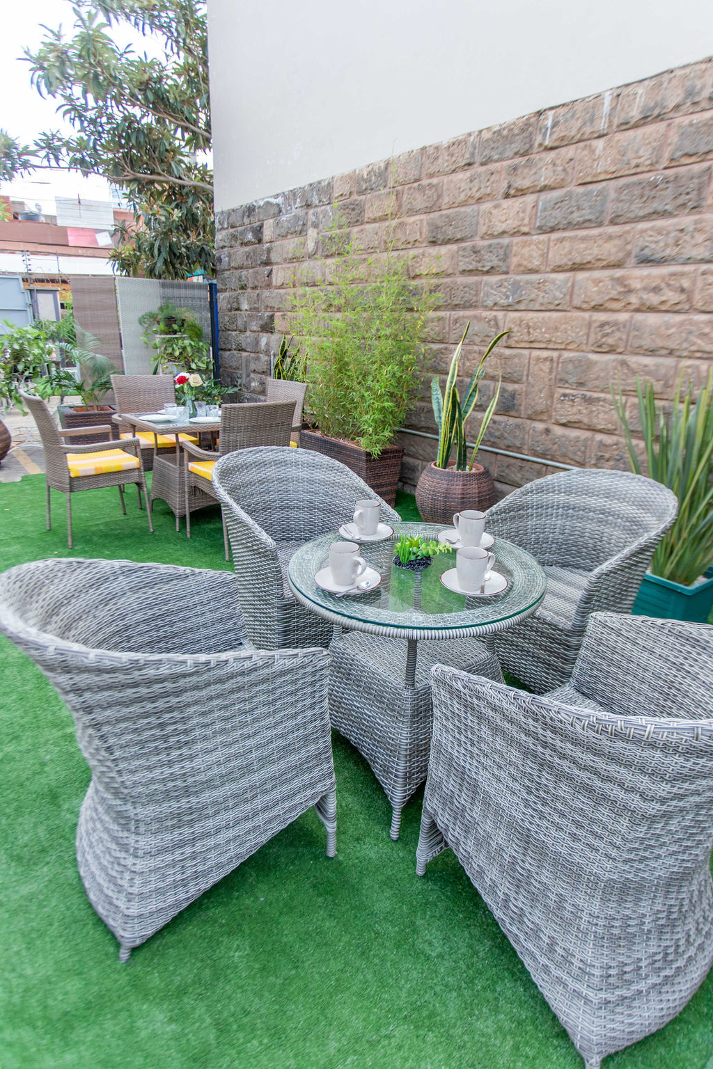 Cosmos-Jardin-Classics (11)