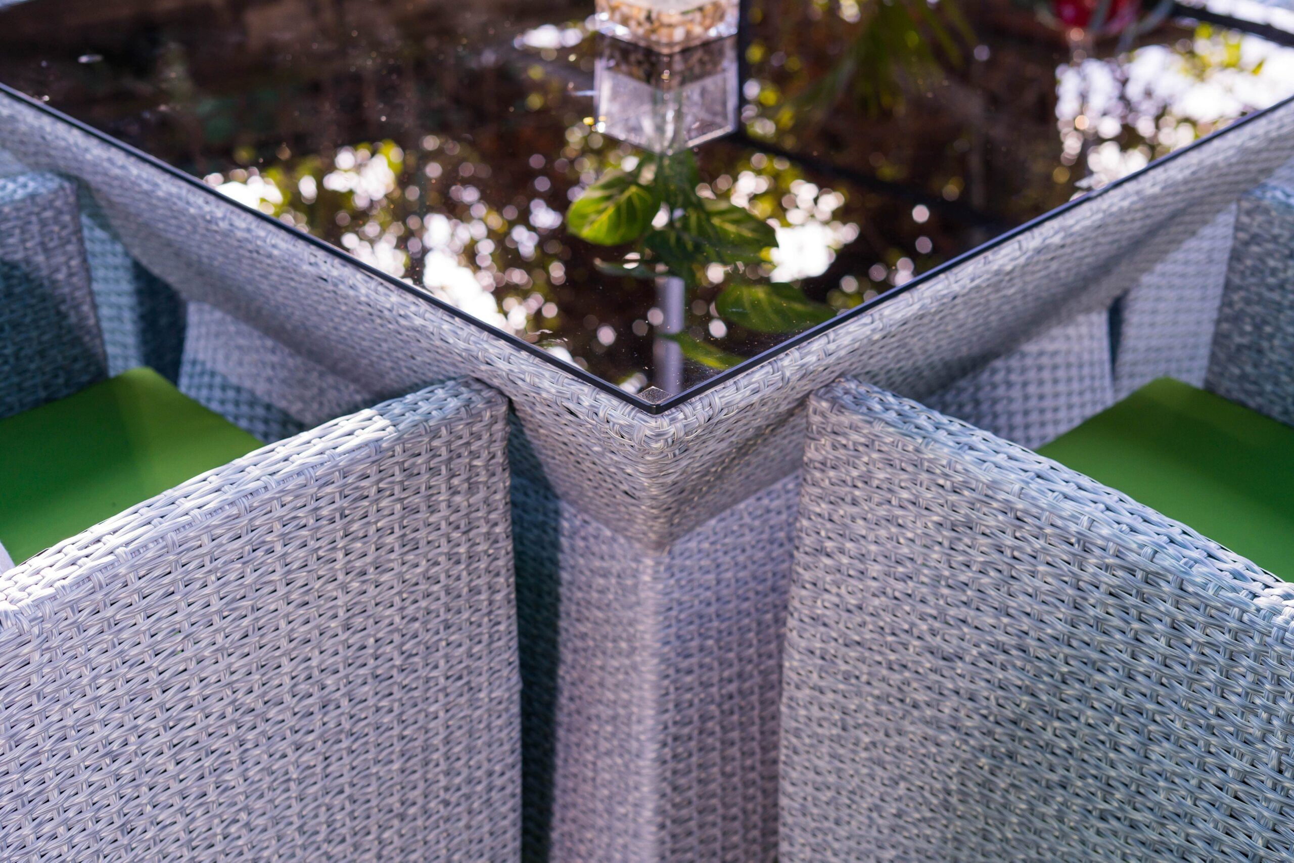 Tansy-Jardin-Classics (2)