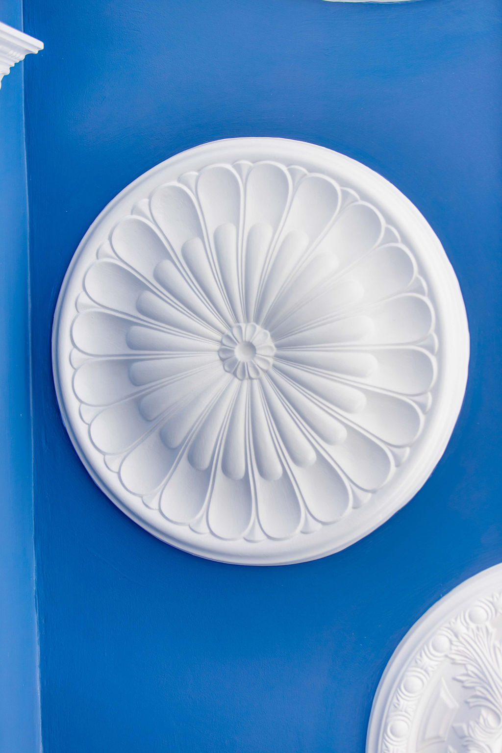 gypsum+ceiling+medallion+jardin+classics (13)