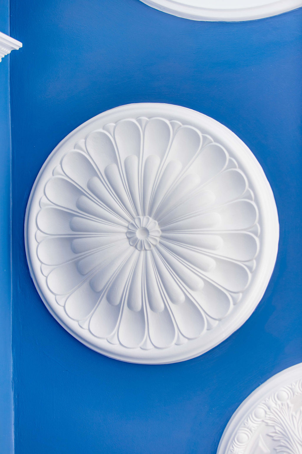 gypsum+ceiling+medallion+jardin+classics (14)