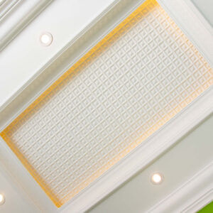 Ceiling Panels
