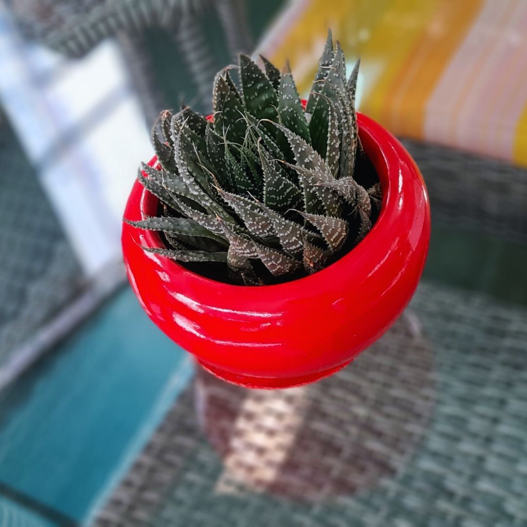 Fiberglass planter- Jardin Classics (4) Fiberglass planter