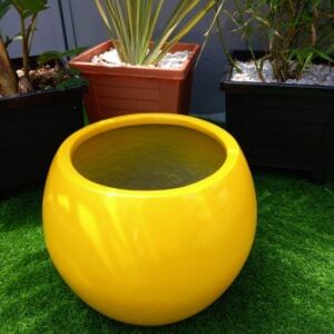 Rounded Small Smooth (SE/P002a)